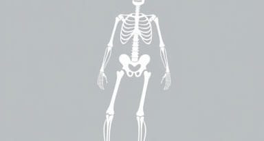 Definition Of Abduction In Anatomy