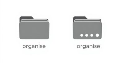 Difference Between Organise And Organize
