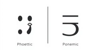 Difference Between Phonetic And Phonemic