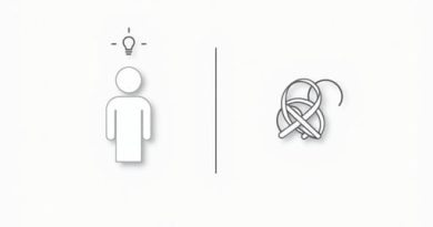 Difference Between Preconception And Misconception