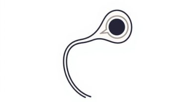 External Urethral Sphincter Function