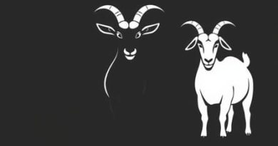 Goats Are Notoriously Indiscriminate