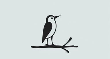 Habitual Birdwatcher Crossword Clue