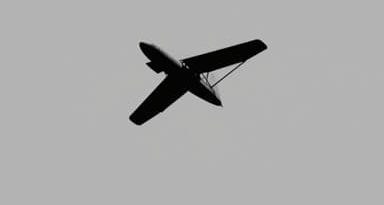 How Did Charles Lindbergh Impact The 1920S