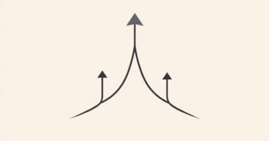 How To Get Zenith With Transmutation