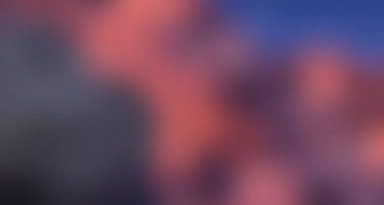 Is Blurriness A Word