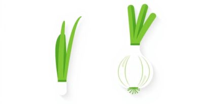Is Scallion And Spring Onion The Same?