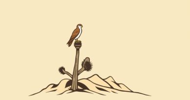 Joshua Tree Falconry Adventures