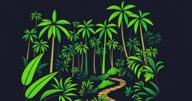 Jungle Trekking In Malaysia