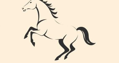 Legal Definition Of Horseplay