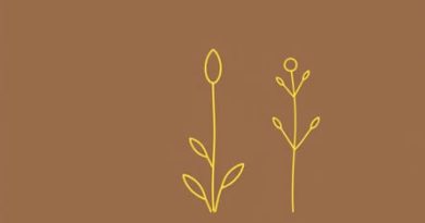 Locupletissimi Rerum Naturalium Thesauri