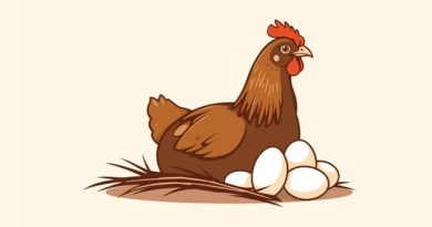 Lohmann Brown Fertile Eggs For Sale