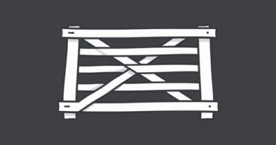 Network Of Crossed Laths Crossword Clue