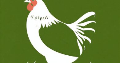 Organic Chicken Forage Seed Mix