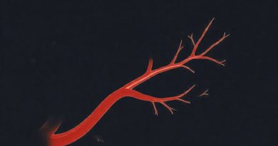 Origin Of The Internal Pudendal Artery