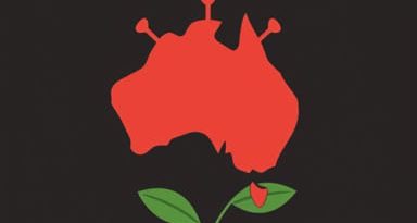 Passionfruit Woodiness Virus Australia