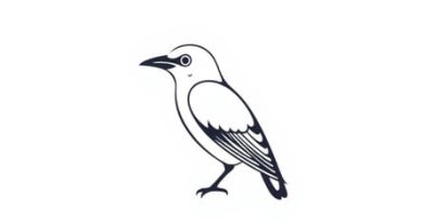 Pope Of Indian Ornithology