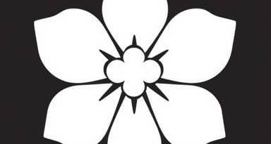 Qui Est Marie La Polonaise