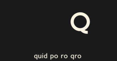 Quid Pro Quo Literal Translation