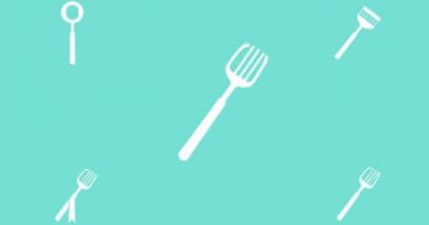 Raffles Schemer Or Reformer