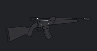 Ruger 10 22 Archangel