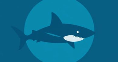 Sharks That Are Extinct