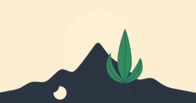 Spike And Spadix Difference