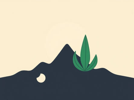 Spike And Spadix Difference