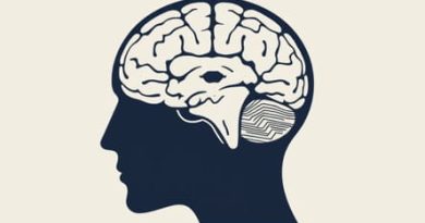 The Anterior Cranial Fossa