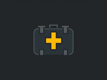 The Corpulent Ammo Pack Division 2