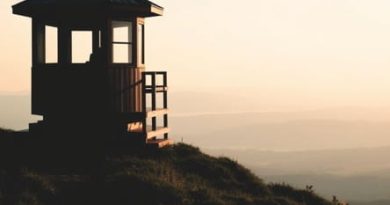 The Hummock Lookout Photos