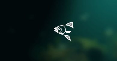 Umpan Ikan Wader Di Sungai