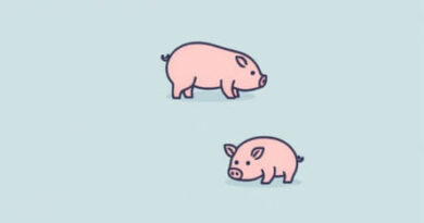 What Is Slopping Pigs