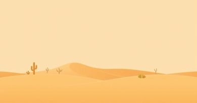 What Is The Meaning Of Desert
