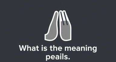 What Is The Meaning Of Plea