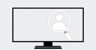 What Is Widescreen Plus National Criminal Search
