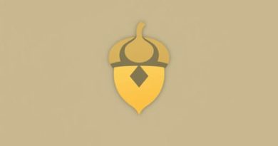 Zelda Echoes Of Wisdom Acorn Prizes