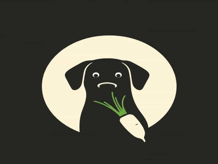 Animals That Represent Stubbornness
