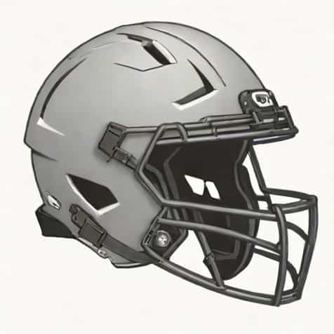 Vicis Helmet With Speedflex Chinstrap