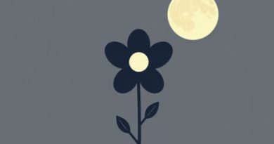 A Killer Of The Flower Moon