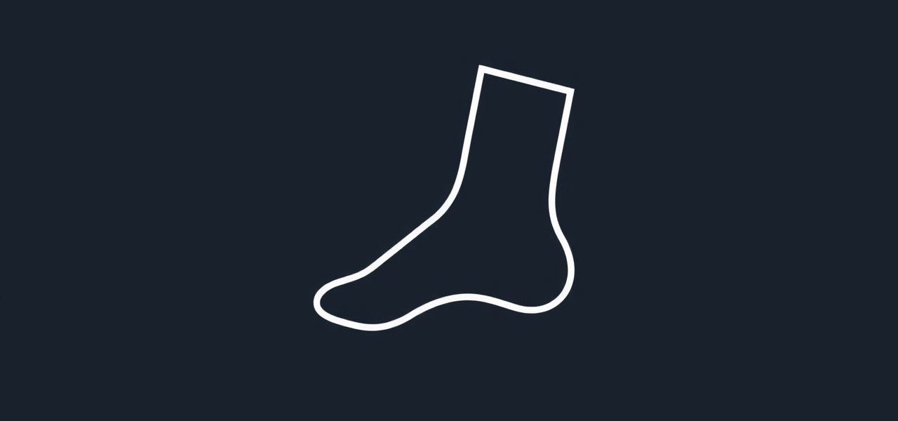 Ankle Spanning External Fixator