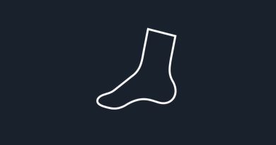 Ankle Spanning External Fixator