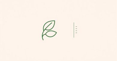 Assumptions Of Dividend Irrelevance Theory