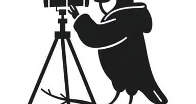 Birdwatcher Board Game Review