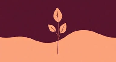 Brands Similar To Damson Madder