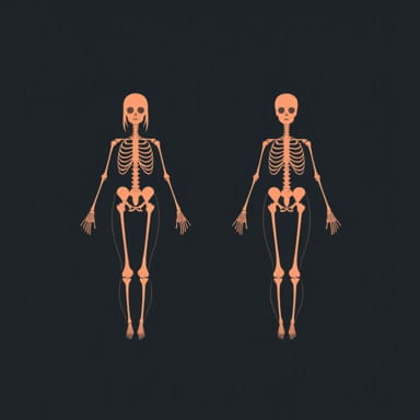 Brittany And Abby Hensel Anatomy