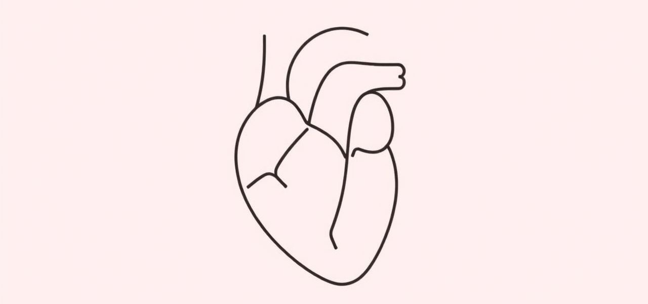 Chordal Transfer Mitral Valve Repair