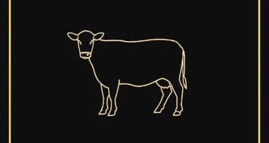 Cower Definition Great Gatsby