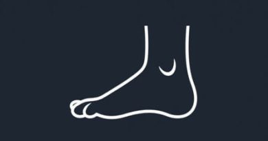 Definition Of Metrical Foot