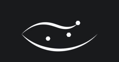 Fast Infinitesimal Time Coalescent Process